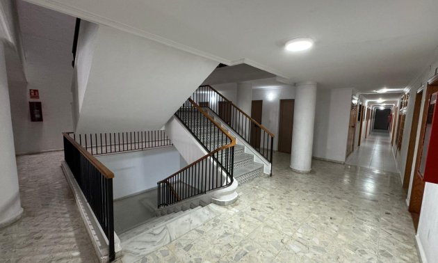 Reventa - Estudio -
Torrevieja - Estacion de autobuses