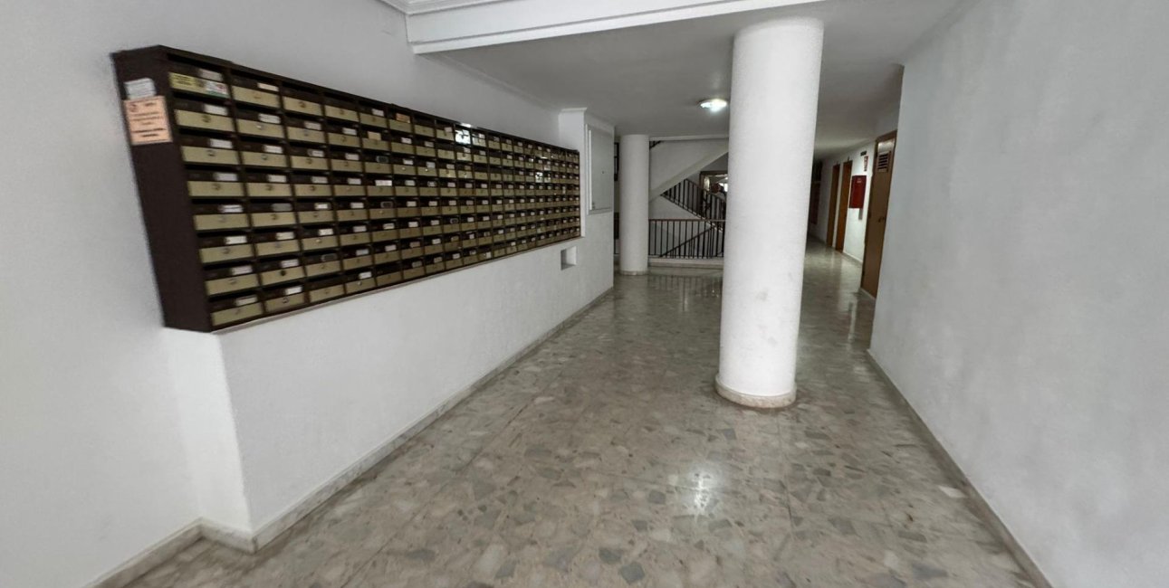 Reventa - Estudio -
Torrevieja - Estacion de autobuses