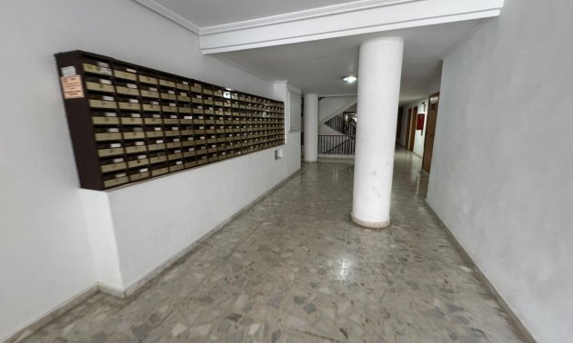 Reventa - Estudio -
Torrevieja - Estacion de autobuses