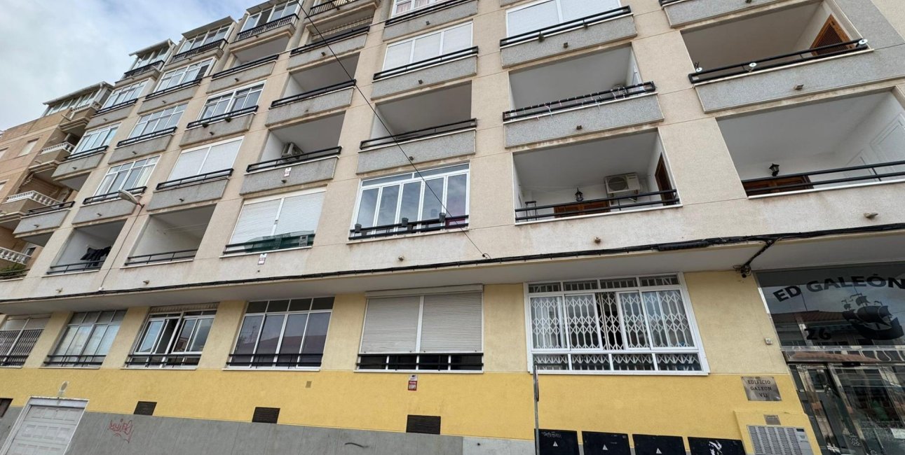 Reventa - Estudio -
Torrevieja - Estacion de autobuses