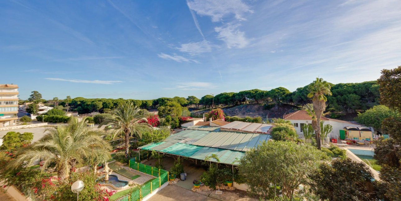 Rynek wtórny - Mieszkanie  -
Guardamar del Segura - Pinomar