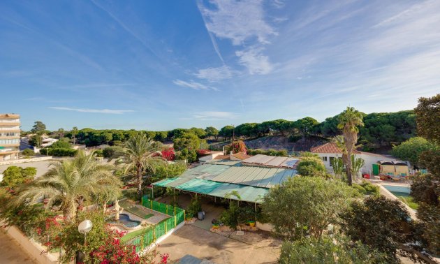 Rynek wtórny - Mieszkanie  -
Guardamar del Segura - Pinomar