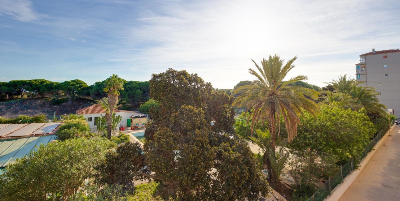 Rynek wtórny - Mieszkanie  -
Guardamar del Segura - Pinomar