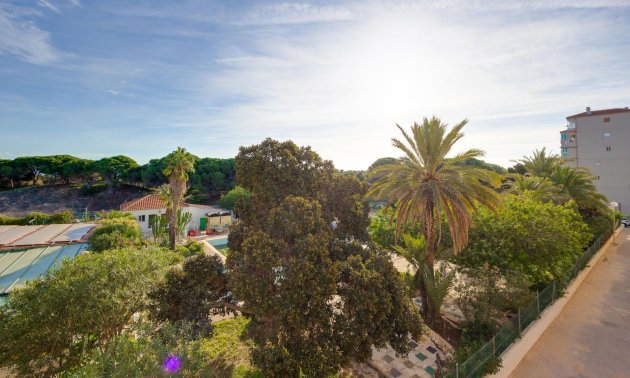 Rynek wtórny - Mieszkanie  -
Guardamar del Segura - Pinomar