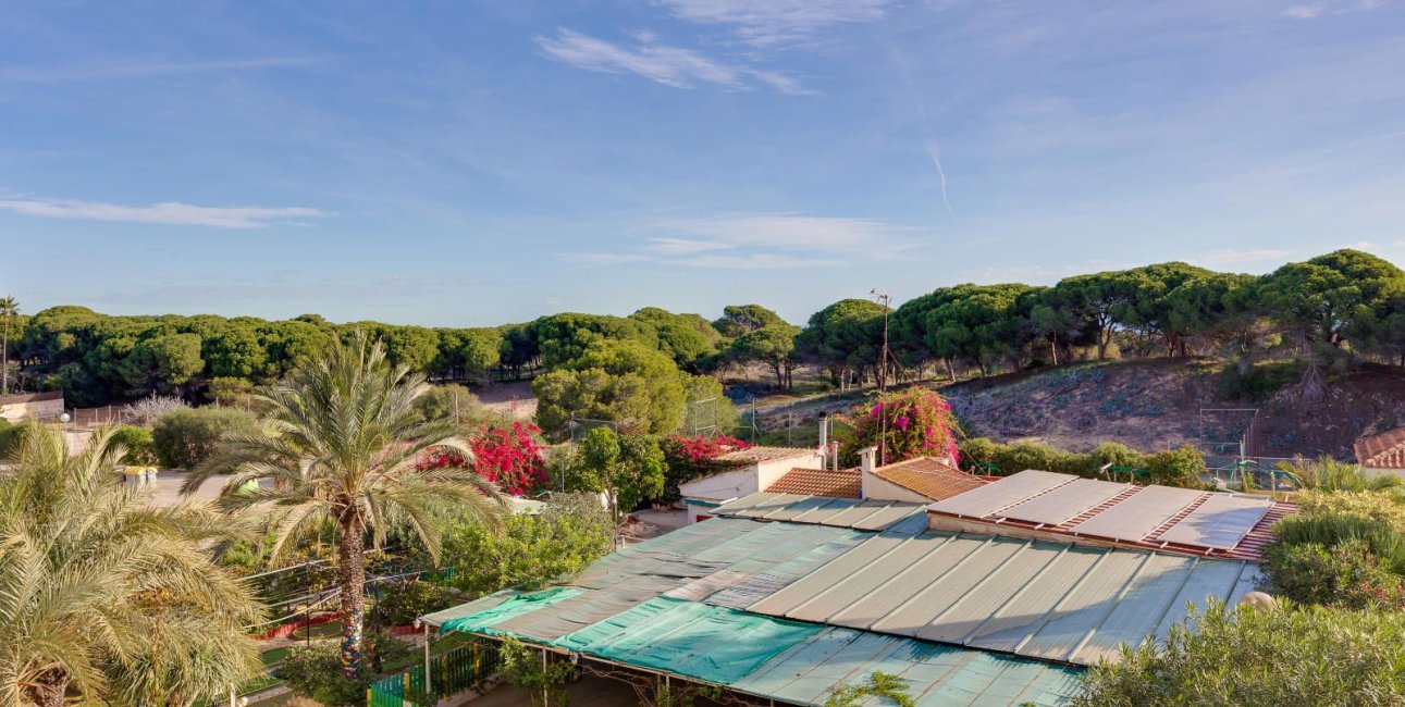 Rynek wtórny - Mieszkanie  -
Guardamar del Segura - Pinomar