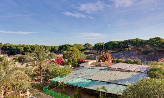 Rynek wtórny - Mieszkanie  -
Guardamar del Segura - Pinomar
