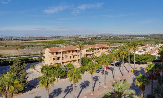 Rynek wtórny - Mieszkanie  -
Guardamar del Segura - Pinomar