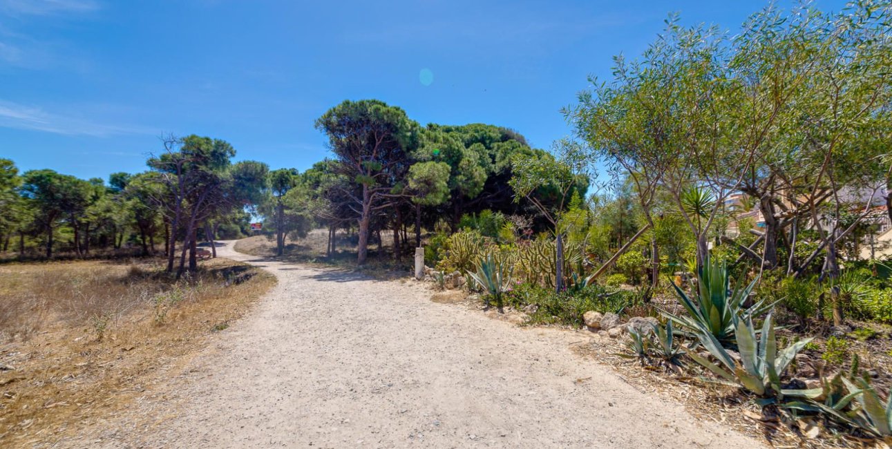 Rynek wtórny - Mieszkanie  -
Guardamar del Segura - Pinomar