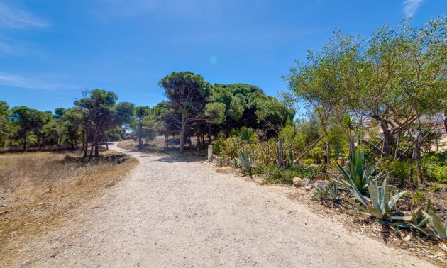 Rynek wtórny - Mieszkanie  -
Guardamar del Segura - Pinomar