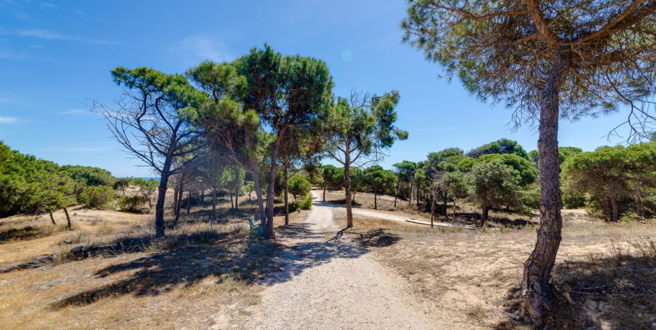 Rynek wtórny - Mieszkanie  -
Guardamar del Segura - Pinomar