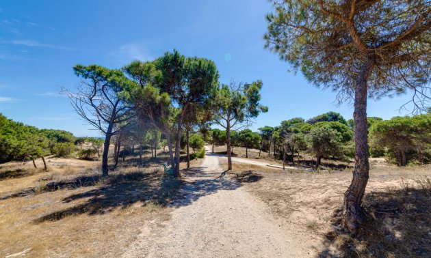 Rynek wtórny - Mieszkanie  -
Guardamar del Segura - Pinomar