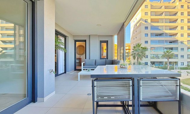 Rynek wtórny - Mieszkanie  -
Torrevieja - Punta prima