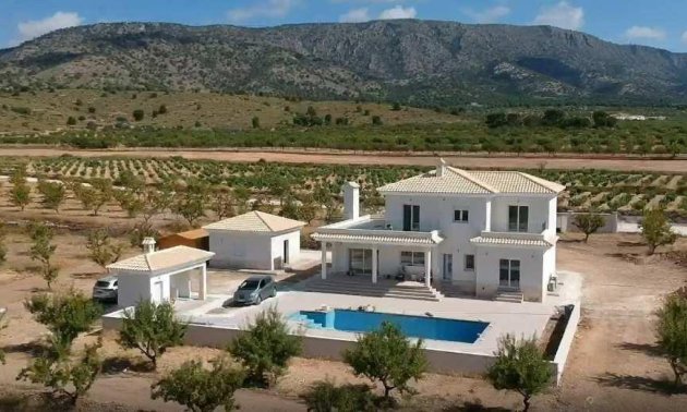 New Build - Villa -
Pinoso - Camino Del Prado