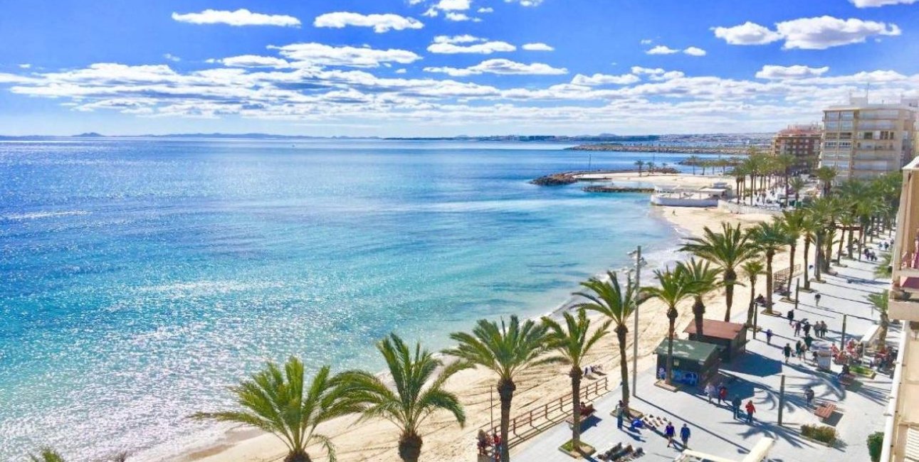 Rynek pierwotny - Willa -
Torrevieja - Lago Jardín II