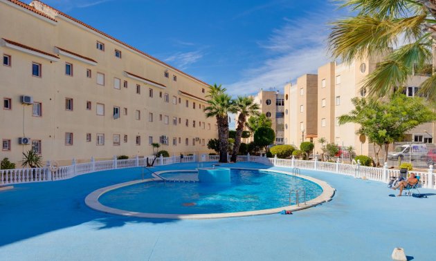 Rynek wtórny - Mieszkanie  -
Torrevieja - San Luis - Chaparal