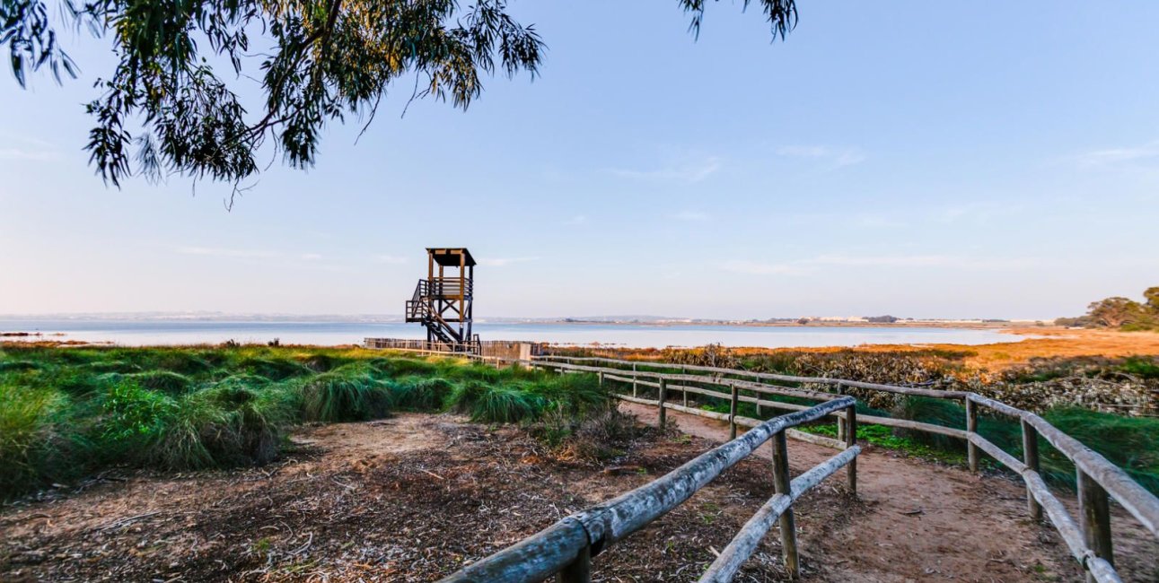 Rynek wtórny - Mieszkanie  -
Torrevieja - San Luis - Chaparal