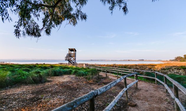 Rynek wtórny - Mieszkanie  -
Torrevieja - San Luis - Chaparal
