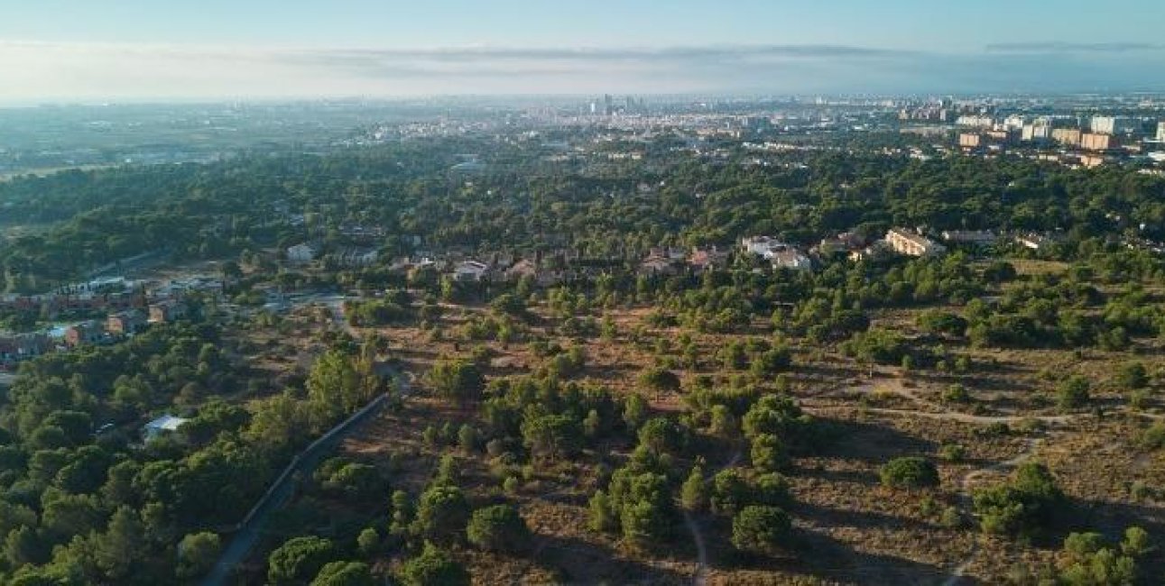 New Build - Apartment / flat -
Godella - Campolivar