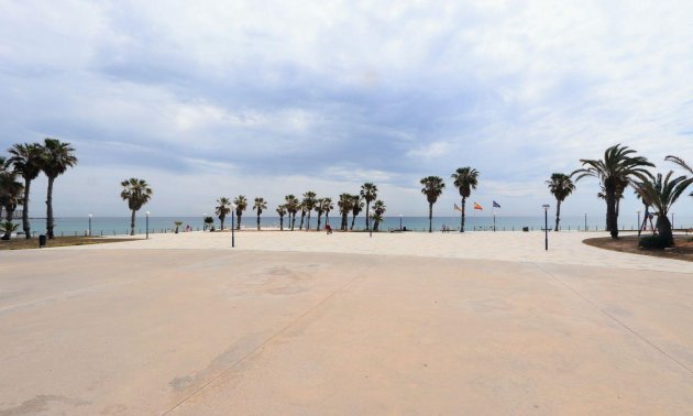 Rynek wtórny - Mieszkanie  -
Torrevieja - Playa Flamenca