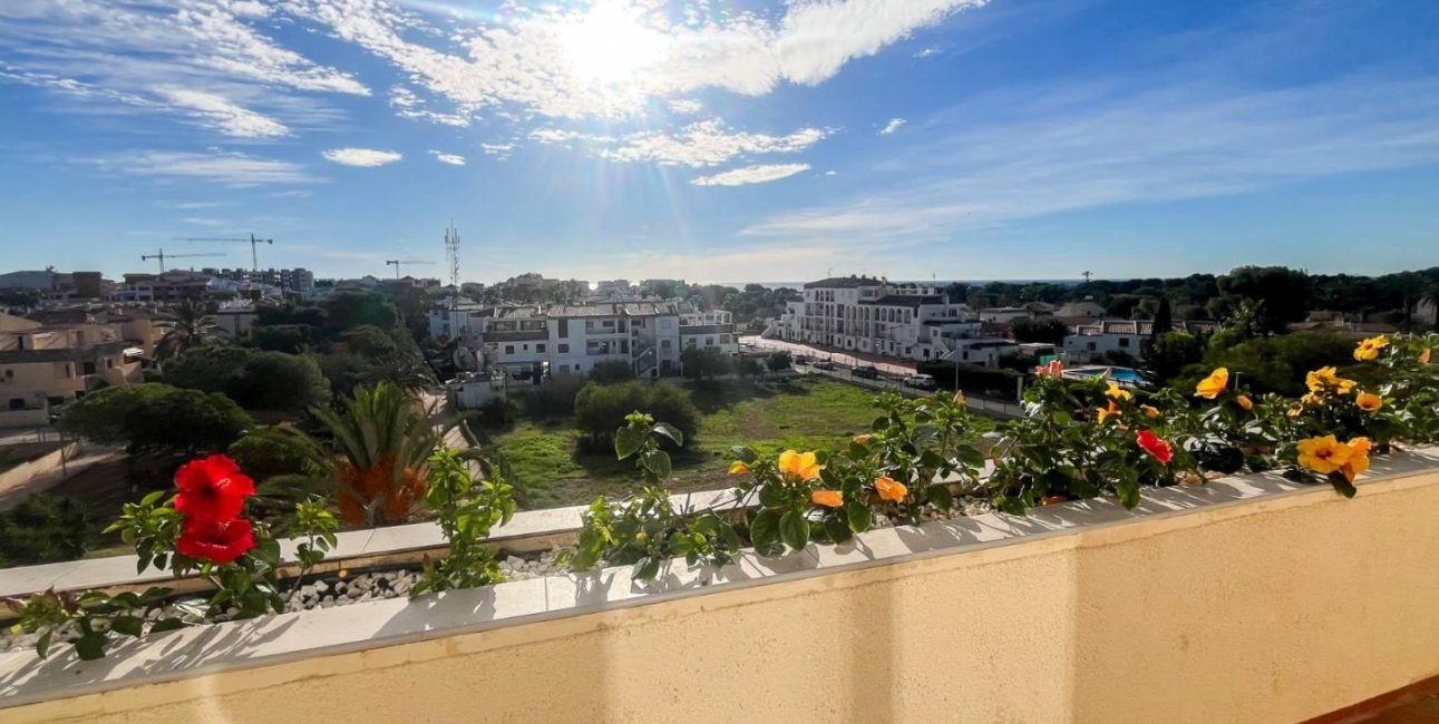 Reventa - Apartamento / piso -
Torrevieja - Punta prima