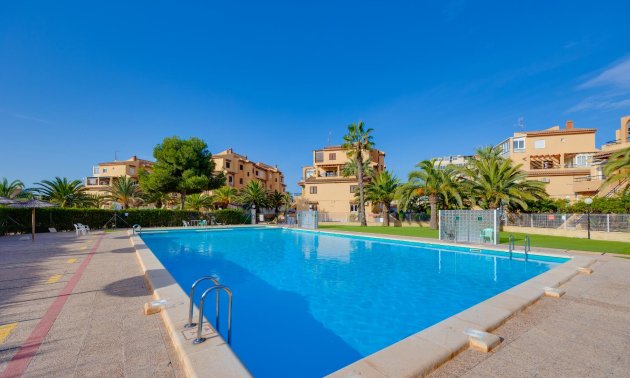 Resale - Study -
Torrevieja - Torreblanca La Mata