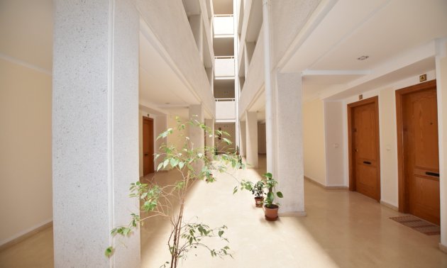 Resale - Apartment / flat -
La Mata - La Mata - Town