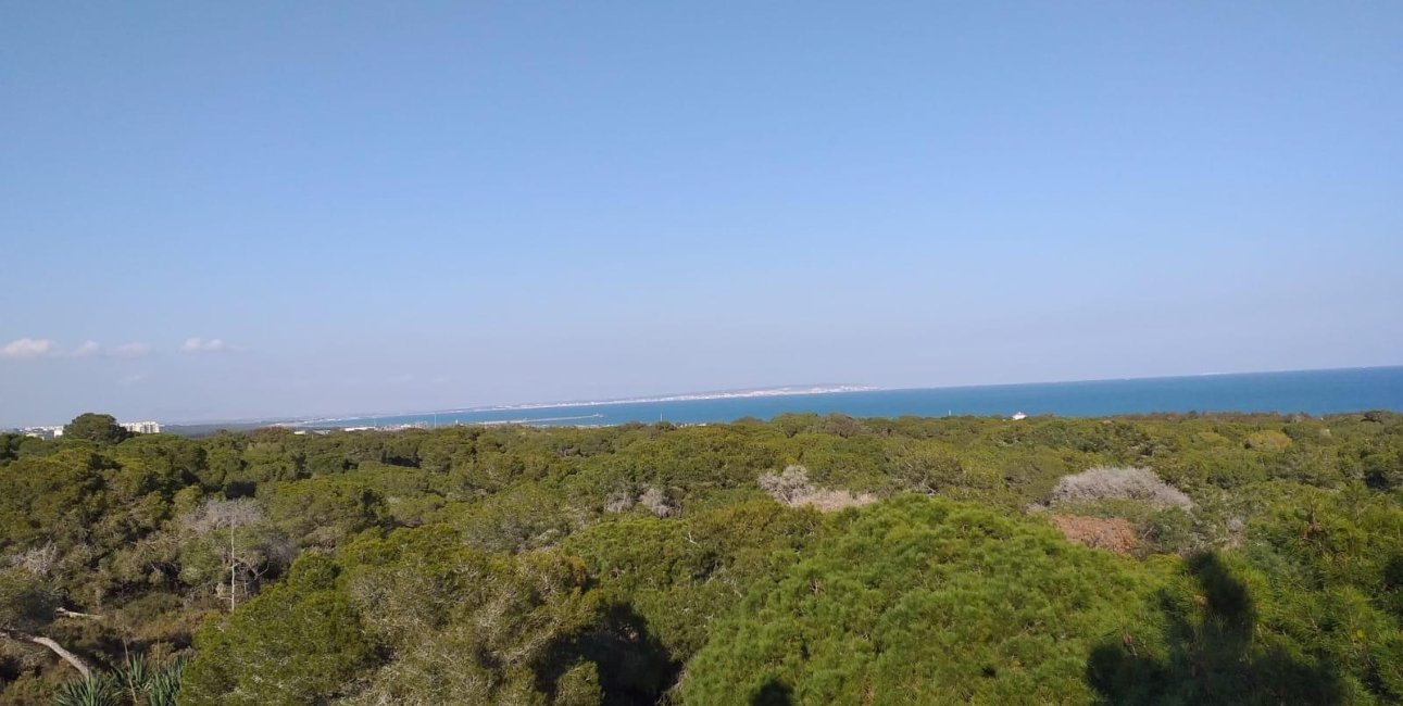 New Build - Apartment / flat -
Guardamar del Segura - Pueblo