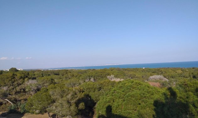 New Build - Penthouse -
Guardamar del Segura - Pueblo