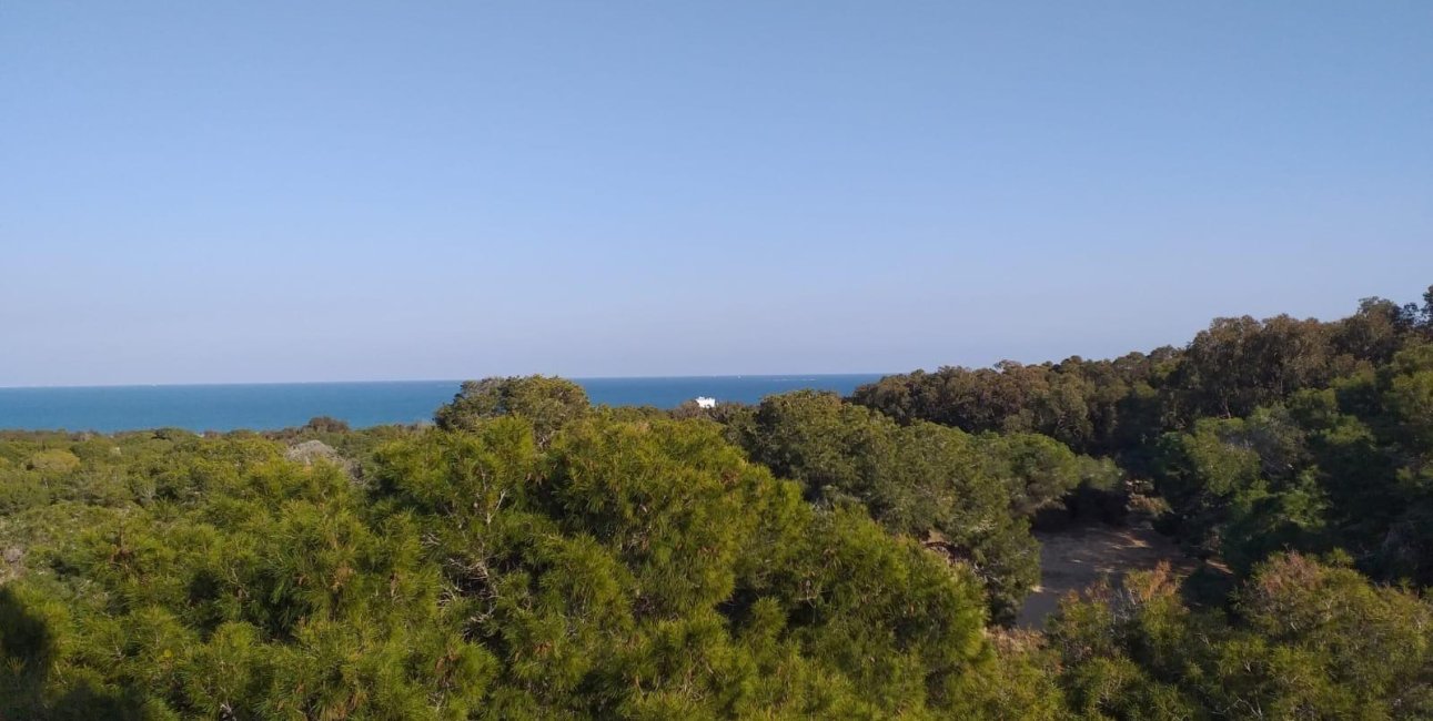 New Build - Penthouse -
Guardamar del Segura - Pueblo