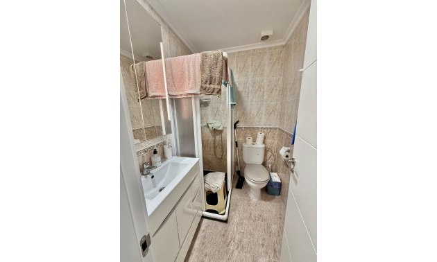 Rynek wtórny - Bungalowy -
Torrevieja - Torretas - La Siesta - El Limonar