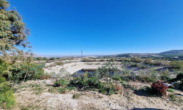 Reventa - Villa -
Orihuela - Hurchillo