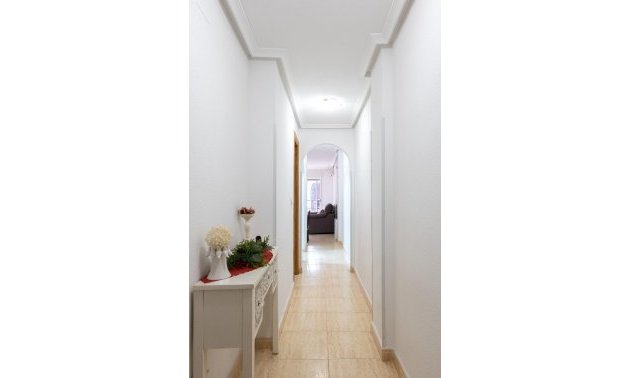 Reventa - Apartamento / piso -
Torrevieja - Parque de las Naciones