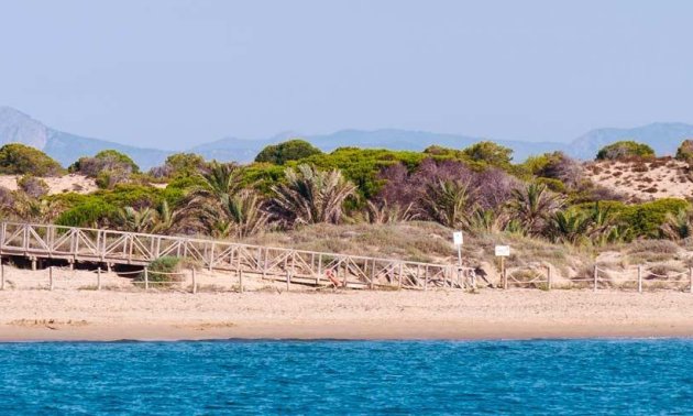 Obra nueva - Ático -
Guardamar del Segura - Pueblo