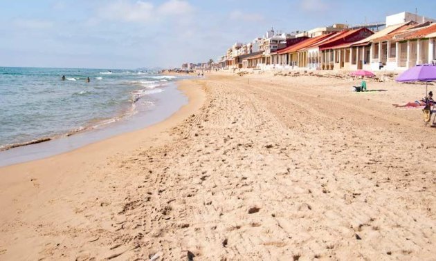 Obra nueva - Apartamento / piso -
Guardamar del Segura - Pueblo