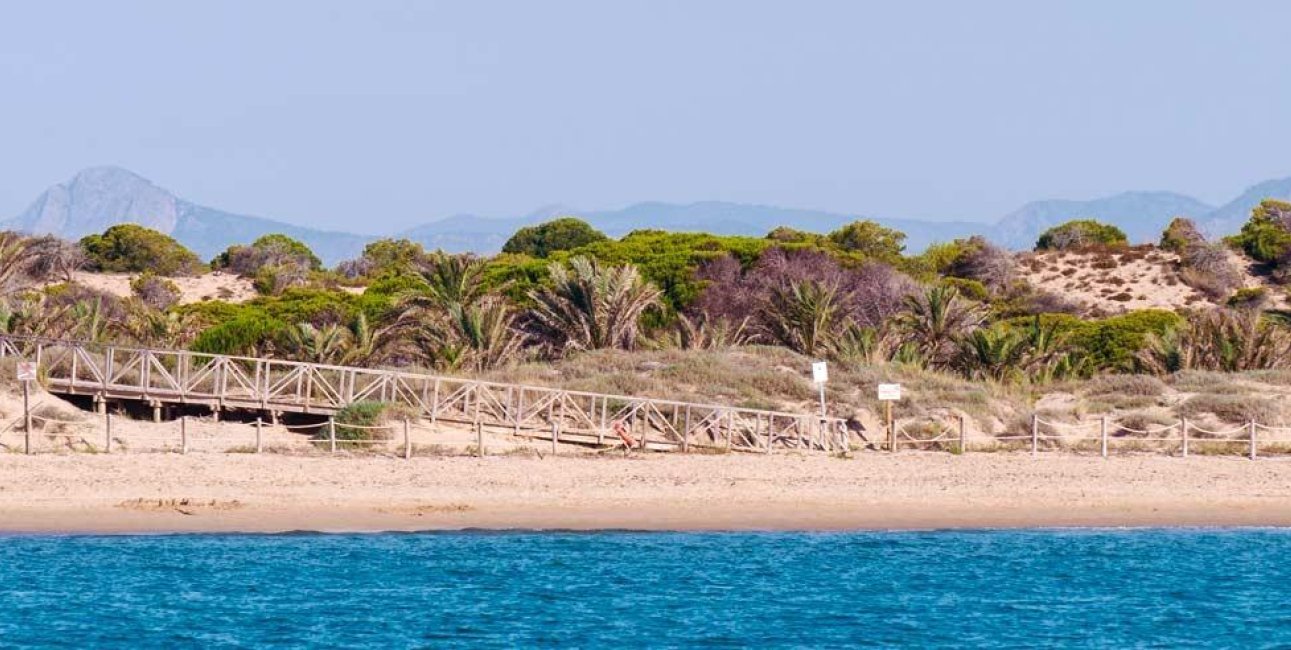 Obra nueva - Apartamento / piso -
Guardamar del Segura - Pueblo