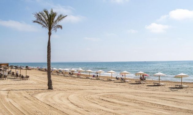 Obra nueva - Apartamento / piso -
Guardamar del Segura - Pueblo