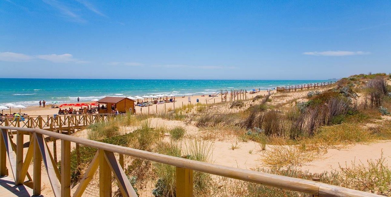 Obra nueva - Apartamento / piso -
Guardamar del Segura - Pueblo