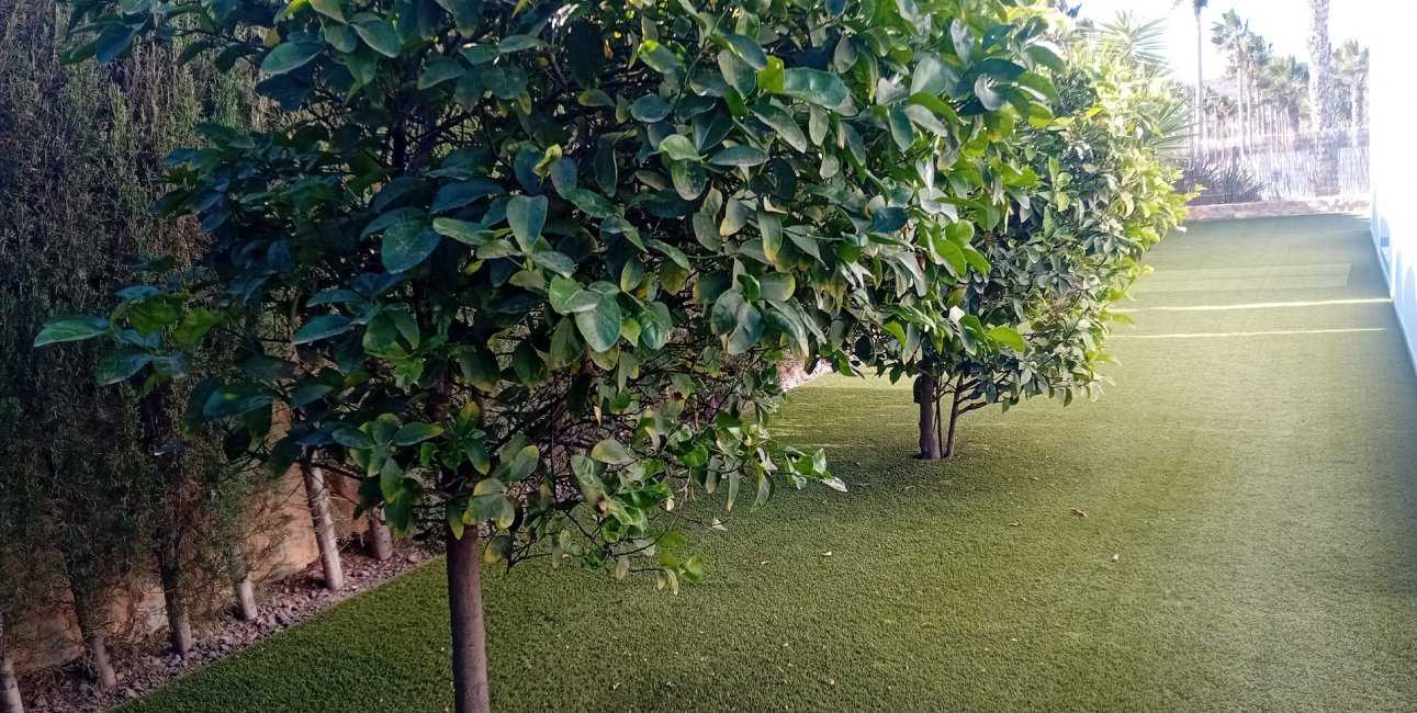 Resale - Villa -
Algorfa - La Finca Golf Resort