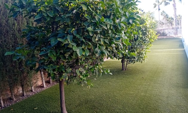 Resale - Villa -
Algorfa - La Finca Golf Resort