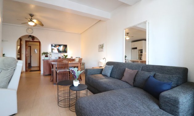 Reventa - Adosado -
Ciudad Quesada - Ciudad Quesada - Town