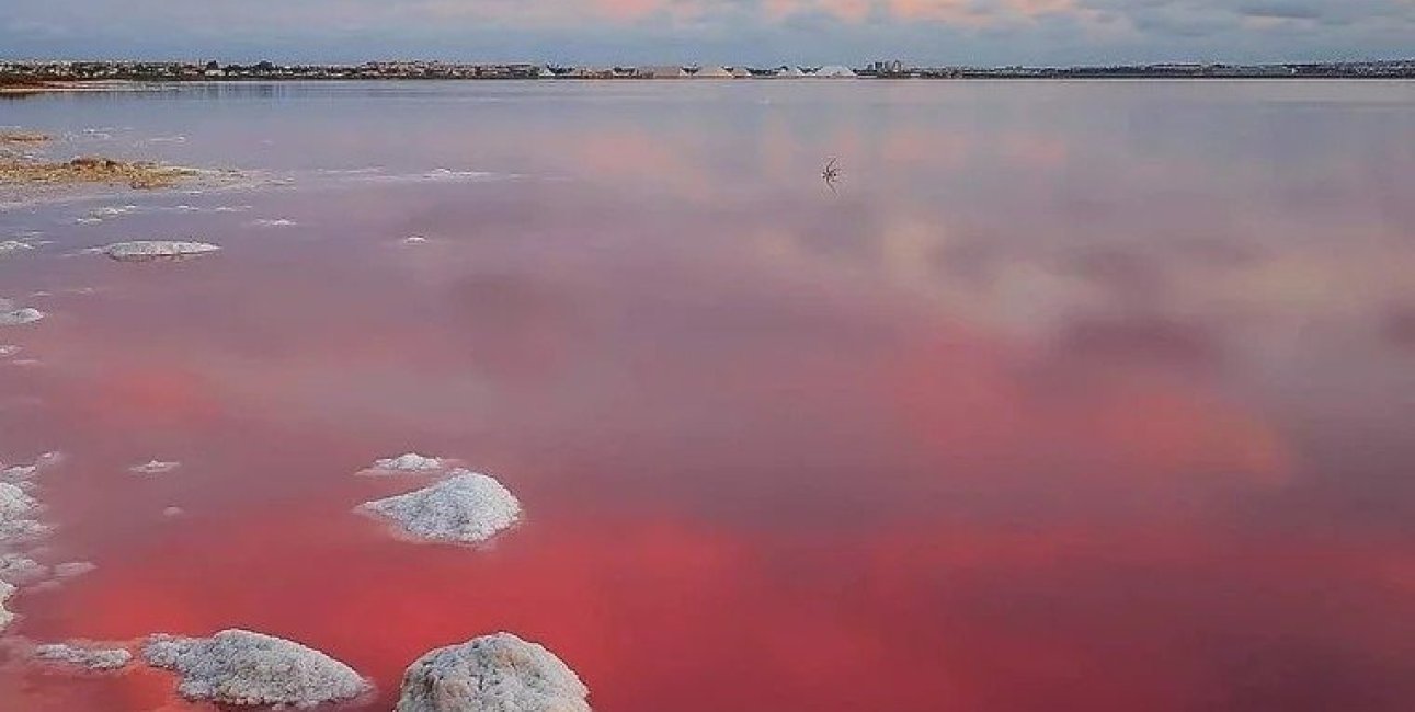 Obra nueva - Bungalow -
Torrevieja - Los Balcones - Los Altos del Edén