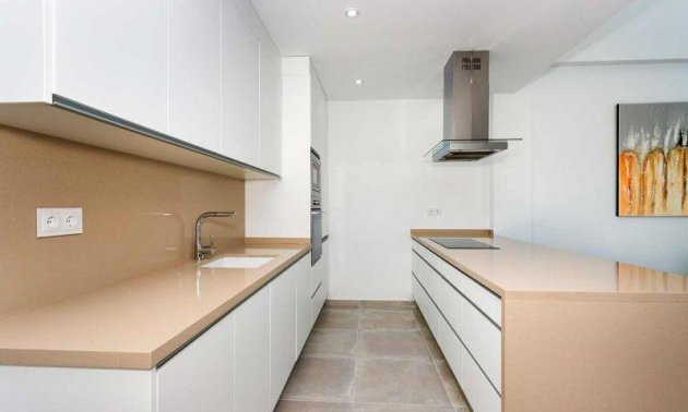 New Build - Townhouse -
Daya Nueva - Centro