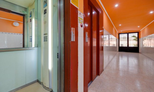 Rynek wtórny - Mieszkanie  -
Torrevieja - Acequion