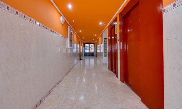 Rynek wtórny - Mieszkanie  -
Torrevieja - Acequion