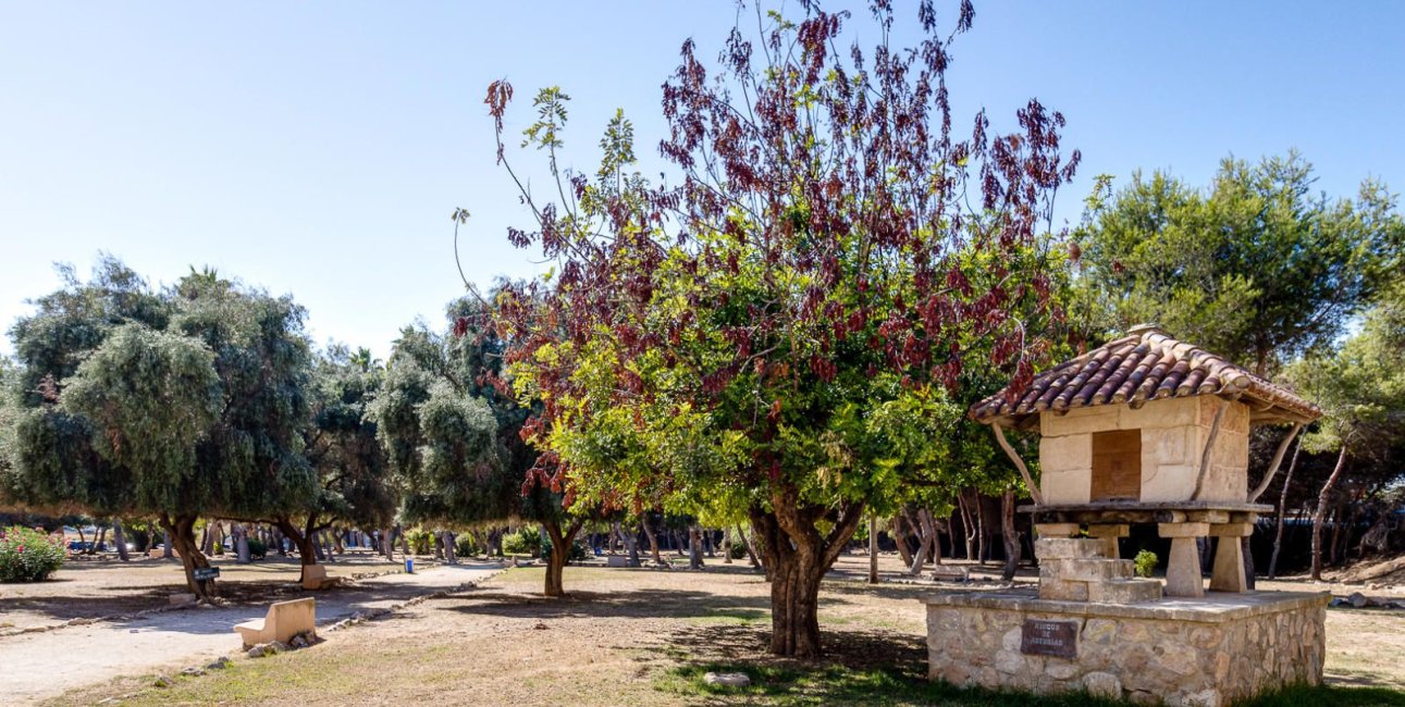 Rynek wtórny - Mieszkanie  -
Torrevieja - Acequion