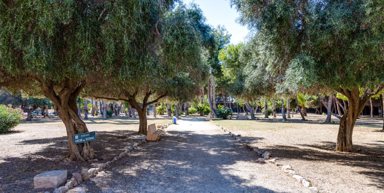 Rynek wtórny - Mieszkanie  -
Torrevieja - Acequion