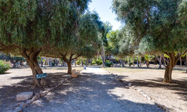 Rynek wtórny - Mieszkanie  -
Torrevieja - Acequion