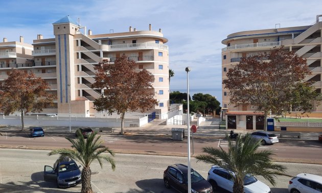 Resale - Apartment / flat -
Arenales del Sol