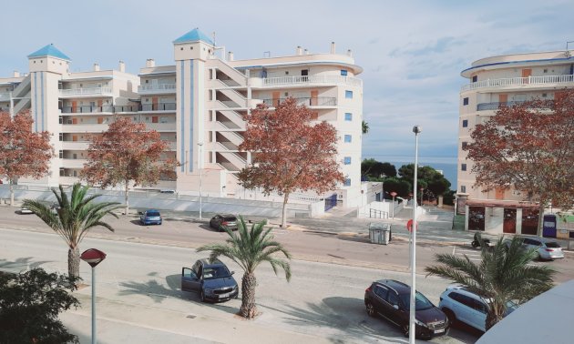 Resale - Apartment / flat -
Arenales del Sol