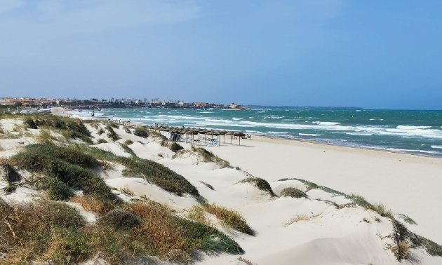 New Build - Villa -
Pilar de la Horadada